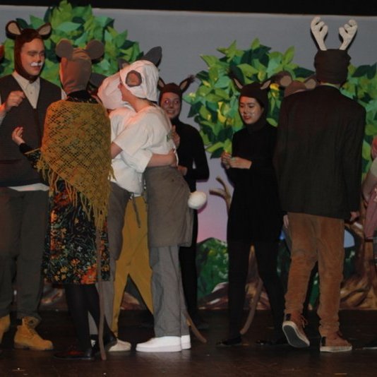 d-rin-h-lsask-gi-055