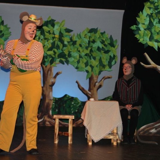 d-rin-h-lsask-gi-081