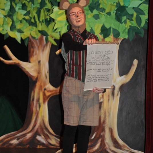 d-rin-h-lsask-gi-082