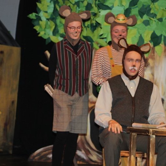 d-rin-h-lsask-gi-089