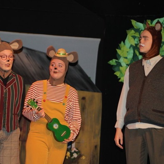 d-rin-h-lsask-gi-090