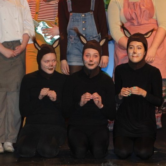 d-rin-h-lsask-gi-099