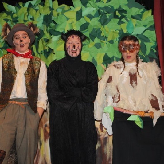 d-rin-h-lsask-gi-100