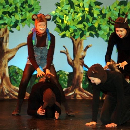 d-rin-h-lsask-gi-107