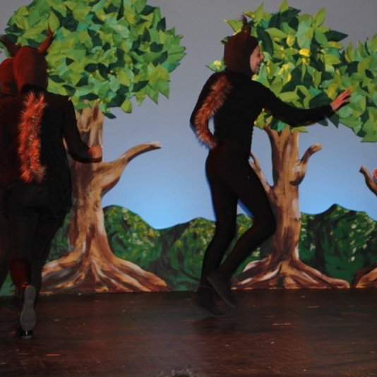 d-rin-h-lsask-gi-108