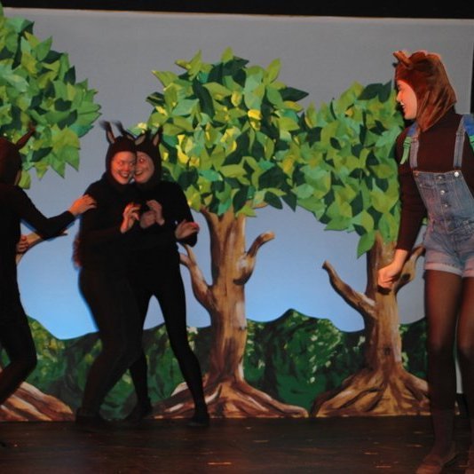 d-rin-h-lsask-gi-109