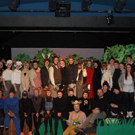 d-rin-h-lsask-gi-131