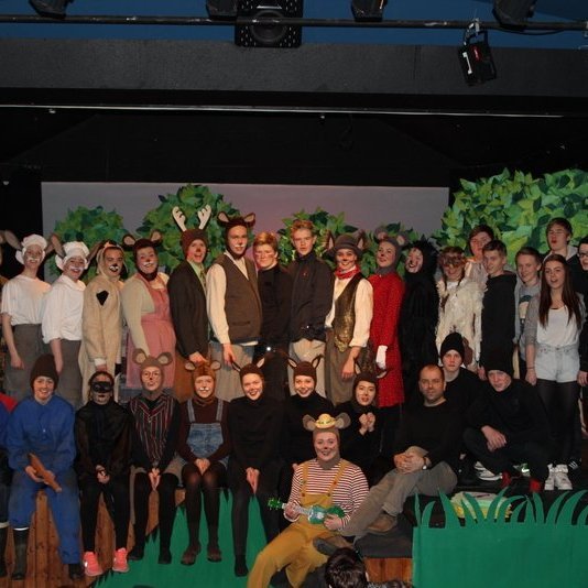 d-rin-h-lsask-gi-133