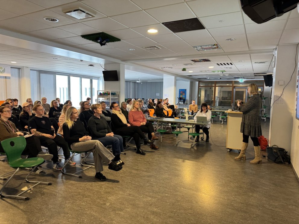 Kynning á matsferli